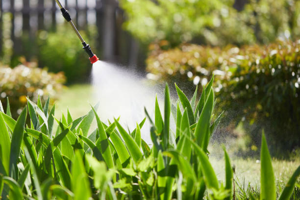24/7 Emergency Mosquito Control experts in Wright, WY